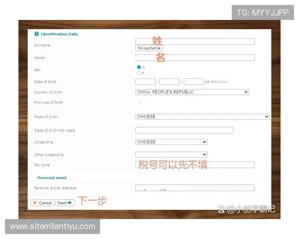 米兰在线登录入口：便捷快速的官方登录指南与操作流程详解