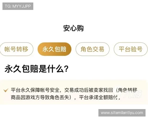 ued娱乐官网安全保障措施,保障玩家账号信息与资金安全的实用技巧 ued娱乐官网安全保障措施,保障玩家账号信息与资金安全的实用技巧